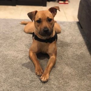 Meet your Posher, Katelyn